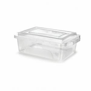 CAIXA ORGANIZADORA 10 L ERCA 1233